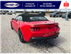 2025 Ford Mustang EcoBoost Premium (Stk: LFMU00939) in Leamington - Image 8 of 28
