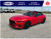 2025 Ford Mustang EcoBoost Premium (Stk: LFMU00939) in Leamington - Image 11 of 28