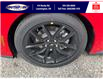 2025 Ford Mustang EcoBoost Premium (Stk: LFMU00939) in Leamington - Image 13 of 28