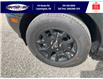 2025 Ford Bronco Sport Big Bend (Stk: SPBS00342) in Leamington - Image 11 of 27
