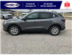 2025 Ford Escape Active (Stk: SPEP00355) in Leamington - Image 8 of 26