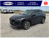2025 Ford Escape ST-Line (Stk: LFEP00841) in Leamington - Image 9 of 27