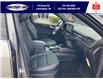 2025 Ford Escape ST-Line (Stk: LFEP00841) in Leamington - Image 27 of 27