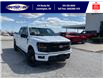 2025 Ford F-150 XLT (Stk: SPFF00365) in Leamington - Image 1 of 27
