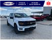 2025 Ford F-150 XLT (Stk: SPFF00365) in Leamington - Image 2 of 27