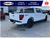 2025 Ford F-150 XLT (Stk: SPFF00365) in Leamington - Image 4 of 27