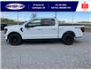 2025 Ford F-150 XLT (Stk: SPFF00365) in Leamington - Image 8 of 27