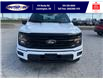 2025 Ford F-150 XLT (Stk: SPFF00365) in Leamington - Image 10 of 27
