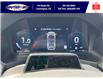 2025 Ford Explorer ST (Stk: LFEX00749) in Leamington - Image 17 of 31