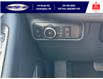 2025 Ford Explorer ST (Stk: LFEX00749) in Leamington - Image 20 of 31