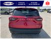 2025 Ford Escape ST-Line (Stk: LFEP00801) in Leamington - Image 5 of 27