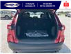 2025 Ford Escape ST-Line (Stk: LFEP00801) in Leamington - Image 6 of 27