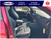 2025 Ford Escape ST-Line (Stk: LFEP00801) in Leamington - Image 27 of 27