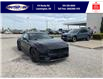 2025 Ford Mustang EcoBoost (Stk: SPMU00315) in Leamington - Image 2 of 24
