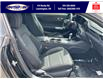 2025 Ford Mustang EcoBoost (Stk: SPMU00315) in Leamington - Image 24 of 24