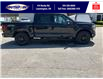 2025 Ford F-150 Lariat (Stk: SPFF00307) in Leamington - Image 3 of 30