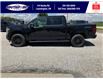 2025 Ford F-150 Lariat (Stk: SPFF00307) in Leamington - Image 8 of 30