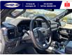 2025 Ford F-150 Lariat (Stk: SPFF00307) in Leamington - Image 13 of 30