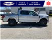 2025 Ford F-150 Tremor (Stk: SPFF00437) in Leamington - Image 3 of 27