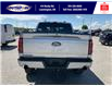 2025 Ford F-150 Tremor (Stk: SPFF00437) in Leamington - Image 5 of 27