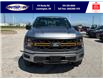 2025 Ford F-150 Tremor (Stk: SPFF00437) in Leamington - Image 10 of 27