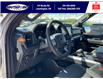2025 Ford F-150 Tremor (Stk: SPFF00437) in Leamington - Image 13 of 27