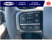 2025 Ford F-150 Tremor (Stk: SPFF00437) in Leamington - Image 17 of 27