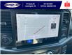 2025 Ford F-150 Tremor (Stk: SPFF00437) in Leamington - Image 20 of 27