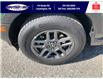 2025 Ford Bronco Sport Big Bend (Stk: SPBS00393) in Leamington - Image 11 of 27
