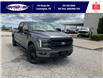 2025 Ford F-150 Lariat (Stk: LFFF00541) in Leamington - Image 1 of 28