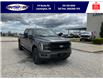 2025 Ford F-150 Lariat (Stk: LFFF00541) in Leamington - Image 2 of 28
