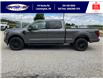 2025 Ford F-150 Lariat (Stk: LFFF00541) in Leamington - Image 8 of 28