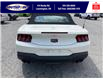 2025 Ford Mustang GT Premium (Stk: SPMU00424) in Leamington - Image 6 of 28