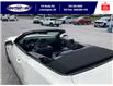2025 Ford Mustang GT Premium (Stk: SPMU00424) in Leamington - Image 9 of 28