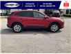 2025 Ford Escape Active (Stk: LFEP00848) in Leamington - Image 3 of 26