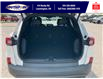 2025 Ford Escape ST-Line (Stk: LFEP00299) in Leamington - Image 6 of 27