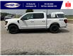 2025 Ford F-150 Lariat (Stk: SPFF00470) in Leamington - Image 8 of 30