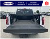 2025 Ford F-150 Lariat (Stk: SPFF00470) in Leamington - Image 6 of 30