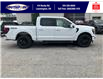 2025 Ford F-150 Lariat (Stk: SPFF00470) in Leamington - Image 3 of 30