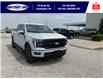 2025 Ford F-150 Lariat (Stk: SPFF00462) in Leamington - Image 1 of 30