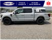 2025 Ford F-150 Lariat (Stk: SPFF00462) in Leamington - Image 8 of 30
