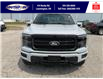 2025 Ford F-150 Lariat (Stk: SPFF00462) in Leamington - Image 10 of 30