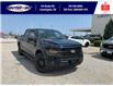 2025 Ford F-150 XLT (Stk: LFFF00594) in Leamington - Image 1 of 27