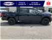 2025 Ford F-150 XLT (Stk: LFFF00594) in Leamington - Image 3 of 27