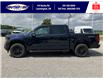 2025 Ford F-150 XLT (Stk: LFFF00594) in Leamington - Image 8 of 27