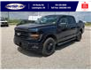 2025 Ford F-150 XLT (Stk: LFFF00594) in Leamington - Image 9 of 27