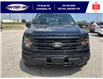 2025 Ford F-150 XLT (Stk: LFFF00594) in Leamington - Image 10 of 27