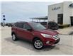 2019 Ford Escape SEL (Stk: S10861A) in Leamington - Image 1 of 25