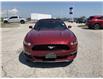 2017 Ford Mustang V6 (Stk: S7307A) in Leamington - Image 10 of 26