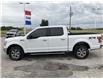 2019 Ford F-150 XLT (Stk: S7371A) in Leamington - Image 8 of 29